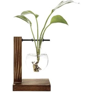 Hydrocultuur Plantenvazen Vintage Bloempot Transparante Vaas Houten Frame Glazen Tafelblad Planten Thuis Bonsai Decor Drop Shipping (A - 1 Bolvaas)
