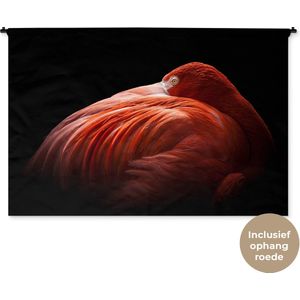 Wandkleed Dieren - Close-up flamingo op zwarte achtergrond Wandkleed katoen 180x120 cm - Wandtapijt met foto XXL / Groot formaat!