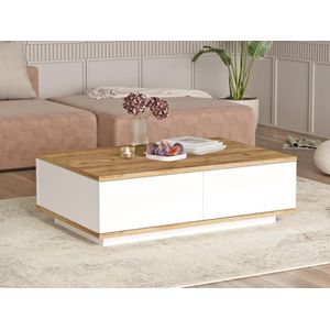 Salontafel met 2 deurtjes - Licht naturel en wit - LOTULA L 90 cm x H 28.6 cm x D 60 cm