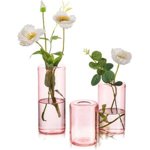 Glazen cilinder vazen set van 3: roze vaas glazen cilinder glazen vaas ronde kleine vazen voor tafeldecoratie, bloemenvaas glas moderne vazen decoratie voor woonkamer slaapkamer bruiloft
