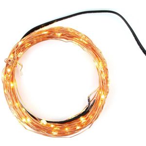 Lichtslinger Clauss LED 100 - Led's 10m met USB aansluiting - AC-CL10001