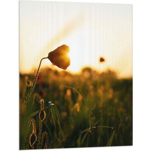WallClassics - Vlag - Felle Zonnestralen door Bloemen in het Veld - 75x100 cm Foto op Polyester Vlag