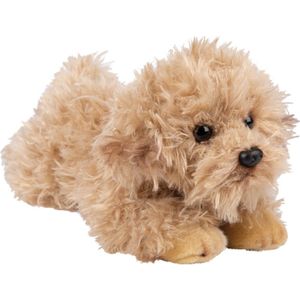 Pluche Knuffel Dieren Labradoodle Hond 30 cm - Speelgoed Knuffelbeesten - Honden Soorten