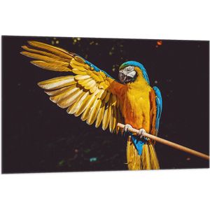 WallClassics - Vlag - Ara Papegaai met Geel Gouden Vleugels - 105x70 cm Foto op Polyester Vlag