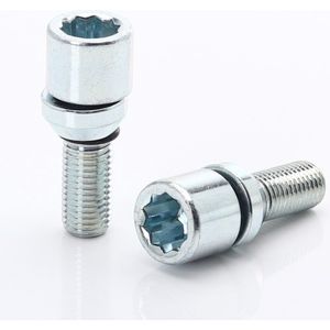Set of 20 silver changeable star bolts M12x1,25 + key