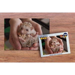 Puzzel Kleine egel in handen - Legpuzzel - Puzzel 1000 stukjes volwassenen