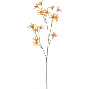 Fleurdirect Kunstbloem Tweedia - Polyester - Oranje - 0 x 69 x 0 cm (BxHxD)