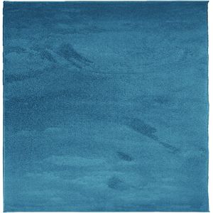 vidaXL-Vloerkleed-OVIEDO-laagpolig-120x120-cm-turquoise