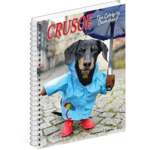 Crusoe the Celebrity Dachshund 2025 6.5 X 8.5 Engagement Calendar
