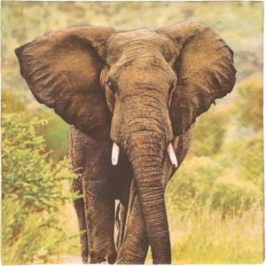 40x Safari thema servetten met olifant print 33 x 33 cm - Wilde dieren tafeldecoratie wegwerp servetjes