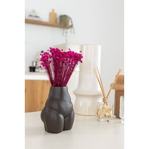 Kersenkleur gedroogde Klokjesbloemen | Cerise Glixia Star Flowers droogbloemen | Lengte ± 50 cm | Per bos te bestellen