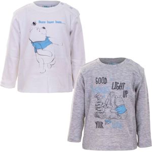 Set van 2 baby longsleeves Winnie de Pooh, grijs /wit, maat 68/74