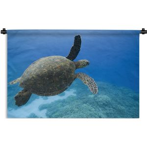 Wandkleed Schildpad - Groene zwemmende schildpad fotoprint Wandkleed katoen 180x120 cm - Wandtapijt met foto XXL / Groot formaat!