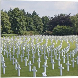 WallClassics - Vlag - Magraten Begraafplaats Amerikaanse Soldaten - 50x50 cm Foto op Polyester Vlag