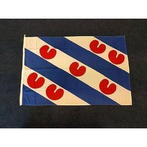 Friese vlag Friesland 100 x 150cm