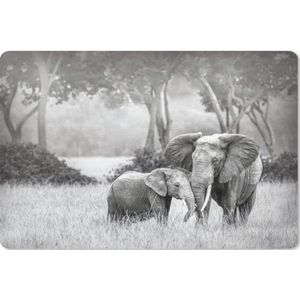 Bureau mat - Baby olifant met haar moeder in zwart-wit - 60x40