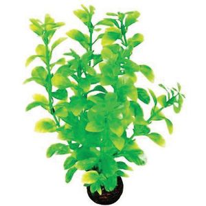 Superfish easy plants middel nr. 2, van plastic 20 cm - 1 ST