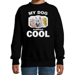 Witte herder honden trui / sweater my dog is serious cool zwart - kinderen - Witte herders liefhebber cadeau sweaters - kinderkleding / kleding 134/146