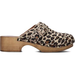 Notre-V 7743 Clogs Dames - Bruin - Maat 36