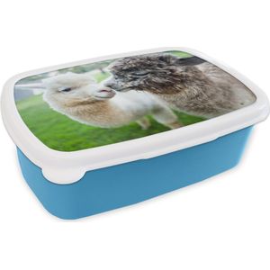 Broodtrommel Blauw - Lunchbox - Brooddoos - Liefde - Alpaca - Knuffel - 18x12x6 cm - Kinderen - Jongen