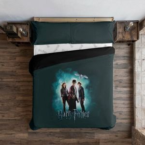 Noorse hoes Harry Potter Lumos Multicolour 180 x 220 cm Bed van 105