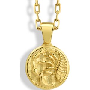 Scorpio ketting voor verjaardagscadeau Gold Polished 20 inches
