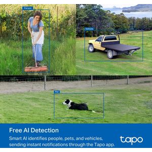 TP-Link Tapo C501GW- Beveiligingscamera-Buiten- 1080P- Full HD- IP66- Pan/Tilt- 4G LTE camera