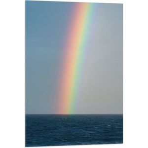 WallClassics - Vlag - Heldere Regenboog Landend in Zeewater - 60x90 cm Foto op Polyester Vlag