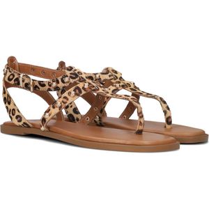 Notre-V 981021 Sandalen - Dames - Bruin - Maat 38