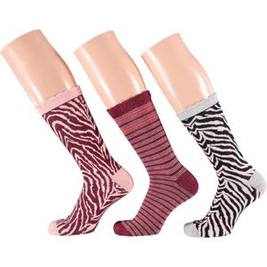 Apollo Zebra Socks | 3-Pack Giftbox | Maat 36-41