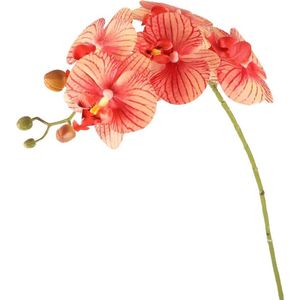 Viv! Home Luxuries Orchidee - zijden bloem - perzik oranje roze - 65cm