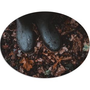 WallClassics - Dibond Ovaal - Regenlaarsjes in Herfstbladeren - 80x60 cm Foto op Ovaal (Met Ophangsysteem)