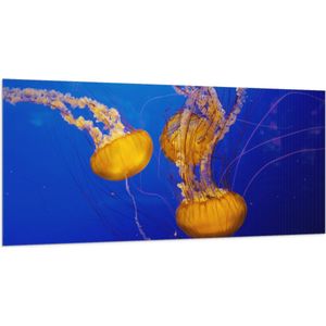 WallClassics - Vlag - Feloranje Kwallen in Donkerblauwe Oceaan - 200x100 cm Foto op Polyester Vlag