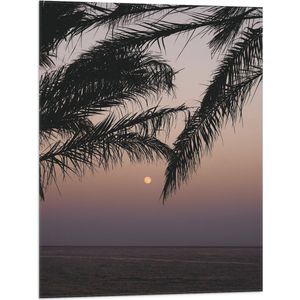 WallClassics - Vlag - Takken van Boom op Strand met Kleine Zon - 60x80 cm Foto op Polyester Vlag