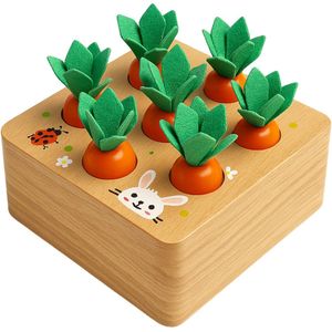 Montessori Houten Speelgoed Wortel Set - Educatief Spel vanaf 3 jaar - Motoriek Vormen spel & Sorteerspel - Sinterklaas Cadeau | Kerstcadeau - Jongens & Meisjes