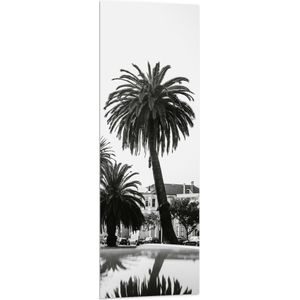 WallClassics - Vlag - Palmbomen in Amerikaanse Buurt (Zwart- wit) - 40x120 cm Foto op Polyester Vlag