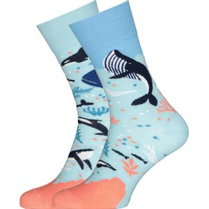 Many Mornings sokken - Ocean Life - Unisex - Maat: 39-42