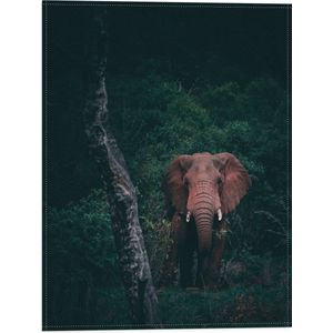 WallClassics - Vlag - Olifant in de Jungle - 30x40 cm Foto op Polyester Vlag