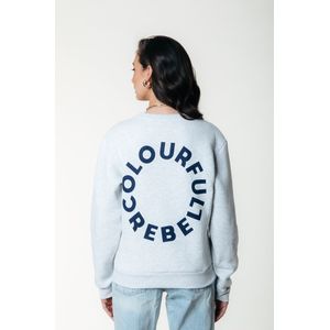 Colourful Rebel Logo Circle Relaxed Sweat - XL