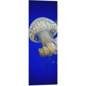 WallClassics - Vlag - Witte Kwal onderwater - 30x90 cm Foto op Polyester Vlag