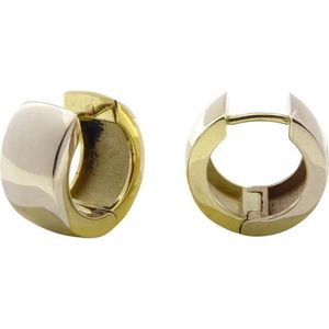 Bicolor gouden oorclips