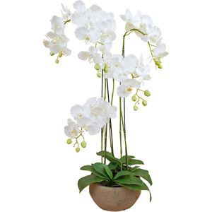 Greenmoods Kunstplanten - Kunstbloem - Orchidee - Zijde - In pot - 118 cm