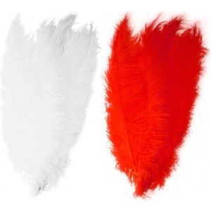 4x stuks grote veer/veren/struisvogelveren 2x wit en 2x rood van 50 cm - Decoratie sierveren