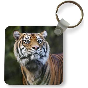 Sleutelhanger - Uitdeelcadeautjes - Portret van een Sumatraanse tijger - Plastic