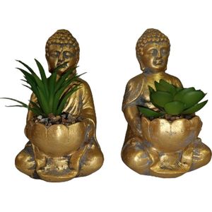 Boeddha met vetplantje - Assorti - Goud - Boeddha - Kunstplanten - 9.5 x 9.5 x 13 cm