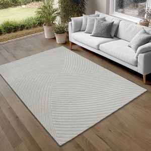 the carpet Parma Tapijt woonkamer, slaapkamer, modern kortpolig met hoog-laag effect, aangenaam zacht,, Grey, 240 x 340 cm