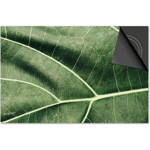 Inductie beschermer 78x52 - afdekplaat inductie mat - Dietrix Kookplaat beschermer - Exclusief - Leaves - 5 Lichtgroene nerf blad