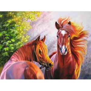 Toi-toys Diamond Painting Paard 40 X 50 Cm