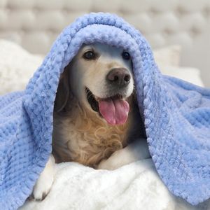 huisdierdeken voor hond of kat, zachte afwerking, zware winterdeken, fleece deken gezellig kattenbed, 80x80cm