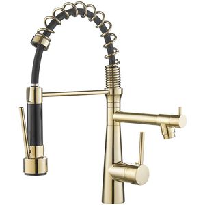 Boraboi® Gouden 360 graden draaibare keukenkraan met uittrekbare douche en dubbele uitloop